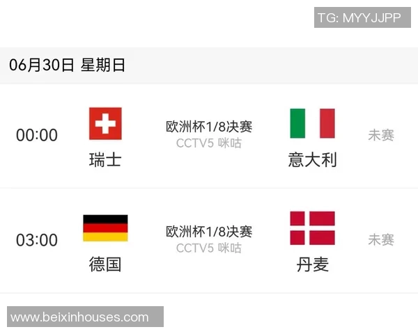 欧洲杯赛事安全管理及突发事件应对 欧洲杯赛事安全管理及突发事件应对