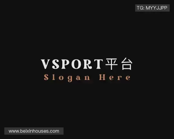 介绍vsport